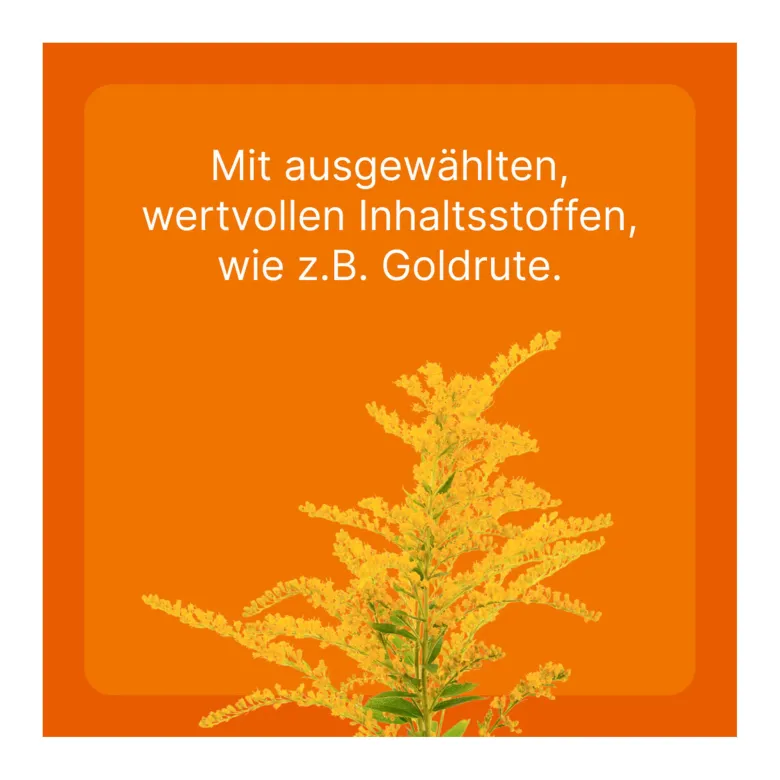 Ubichinon compositum ad us.vet., 10 St