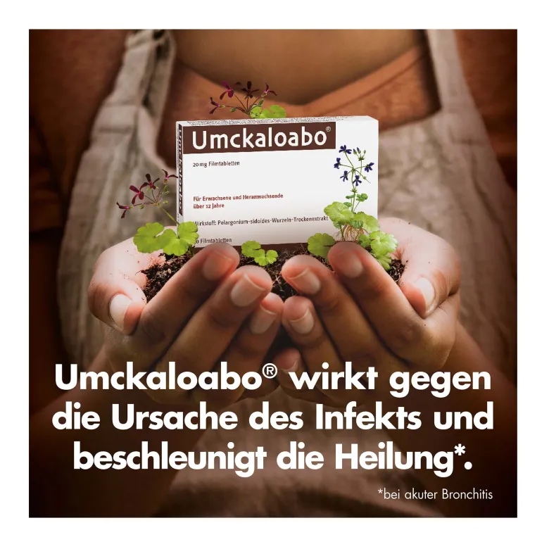 Umckaloabo 20 mg Filmtabletten, 60 St