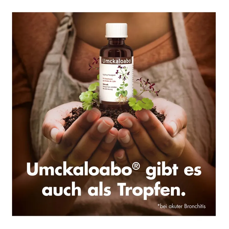 Umckaloabo 20 mg Filmtabletten, 60 St