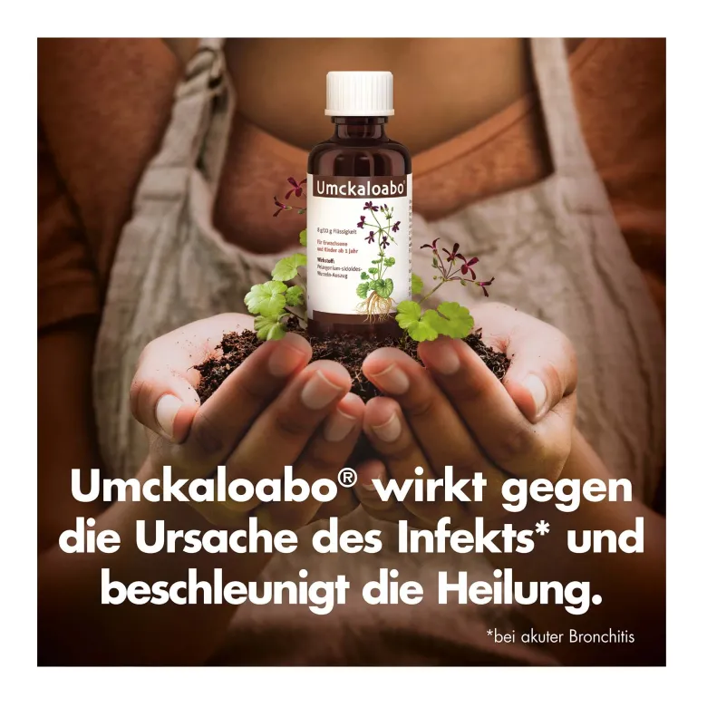 Umckaloabo Tropfen, 50 ml