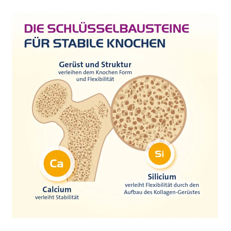 Vitamin D3 Hevert Osteo Pro Filmtabletten, 60 St