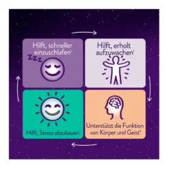 Wick ZzzQuil Gute Nacht+ Stress Balance, 28 St