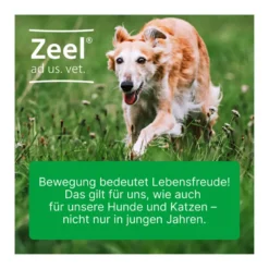 Zeel ad us. vet. Tabletten, 500 St