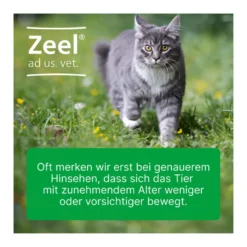 Zeel ad us. vet. Tabletten, 500 St