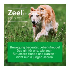 Zeel LT ad us. vet. Tabletten, 100 St